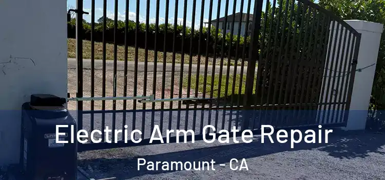 Electric Arm Gate Repair Paramount - CA