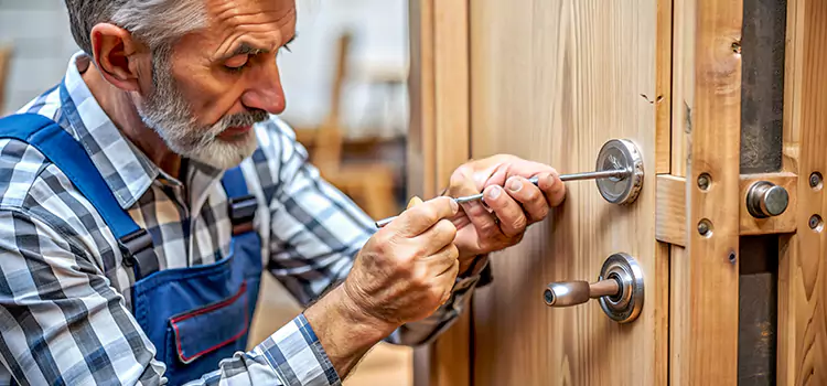 Mortise Replacement Lock Paramount